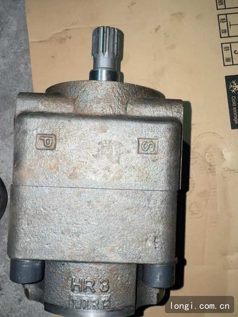 HR3齒輪泵 型號510823 全新原裝現貨（huò） 03.jpg