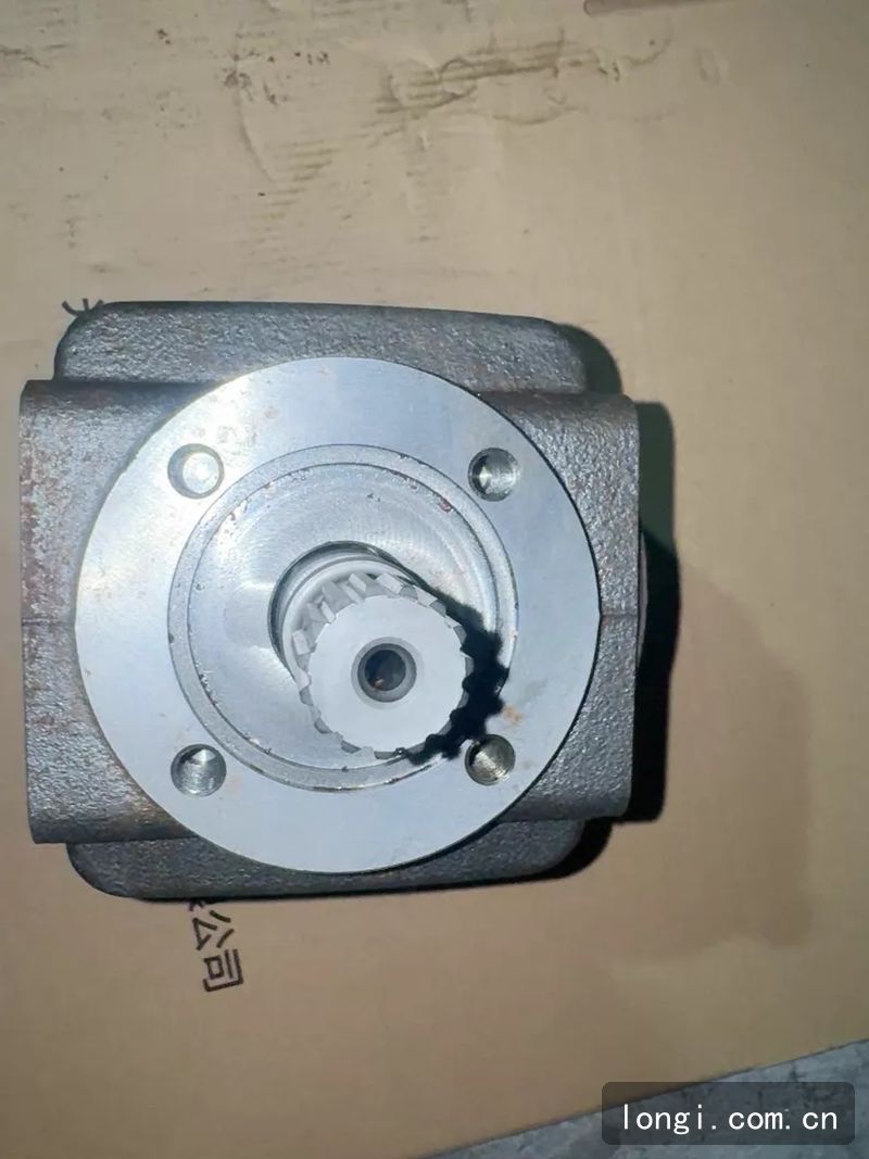 HR3齒輪泵（bèng） 型號510823 全新原裝現貨（huò） 05.jpg