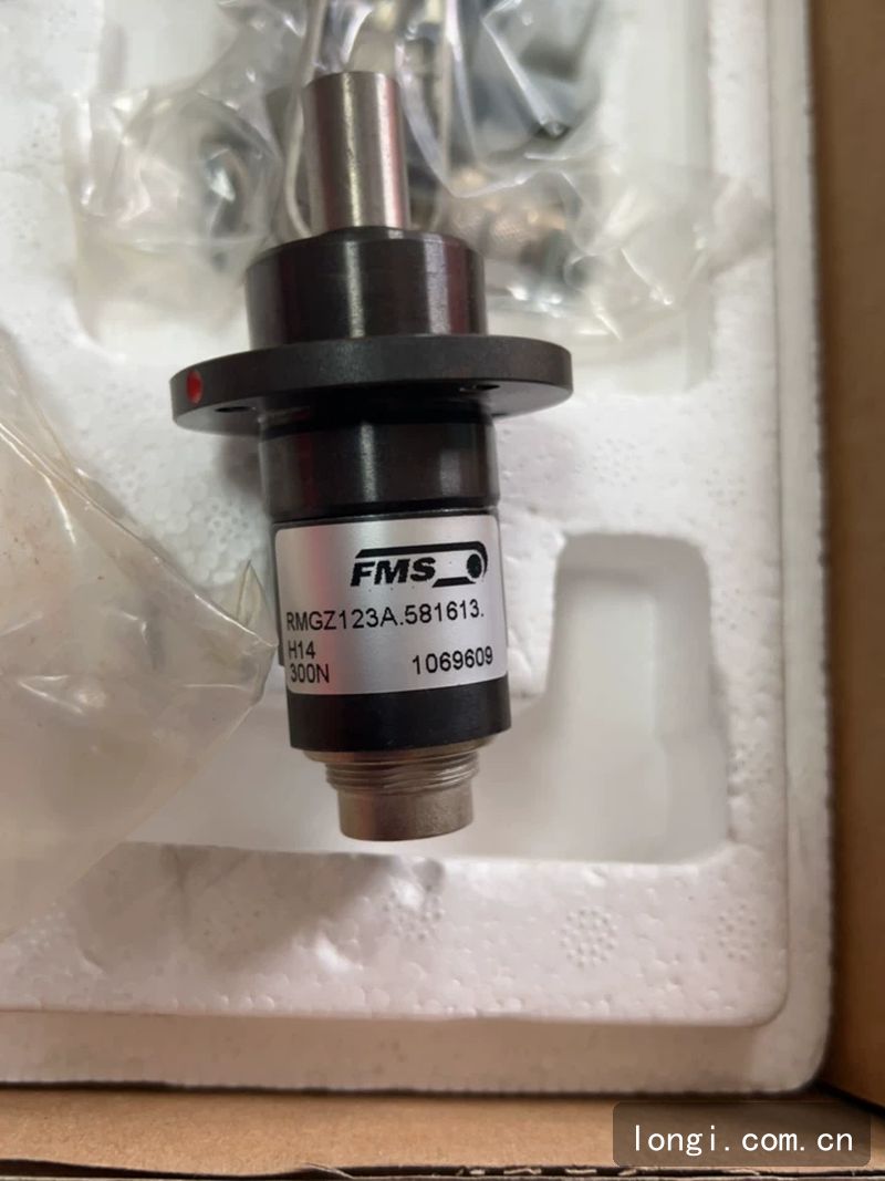 FMS張力傳感器 RMGZ123A.581613.H14 300N 581613.H14 / RMGZ123A.581613.H14 全新原裝（zhuāng） 04.jpg