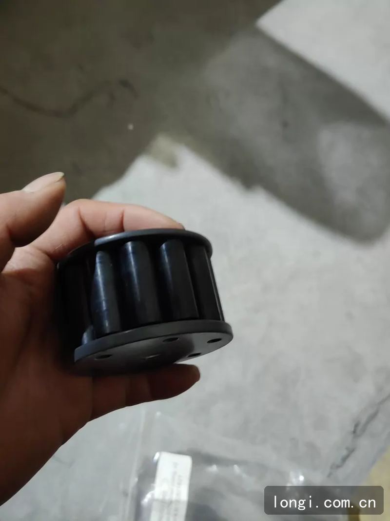 Thermo BRE0022865 3通道（dào）泵（bèng）V2服務套件 拆機現貨 02.jpg